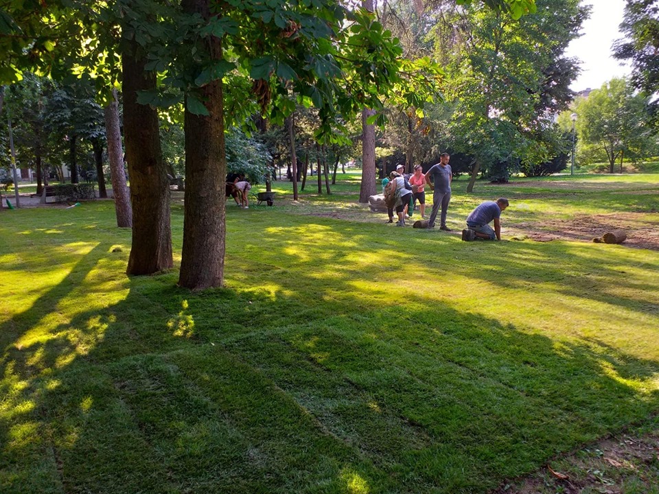 FOTO Parcul Central și Cluj Arena reînverzesc după UNTOLD