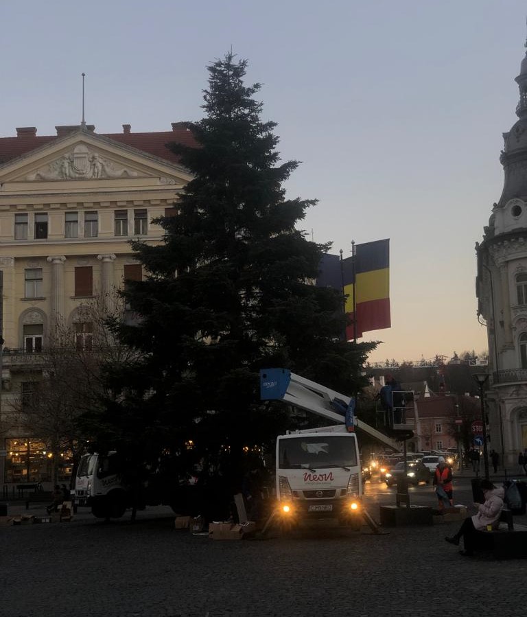Bradul de Crăciun are 12 metri înălțime