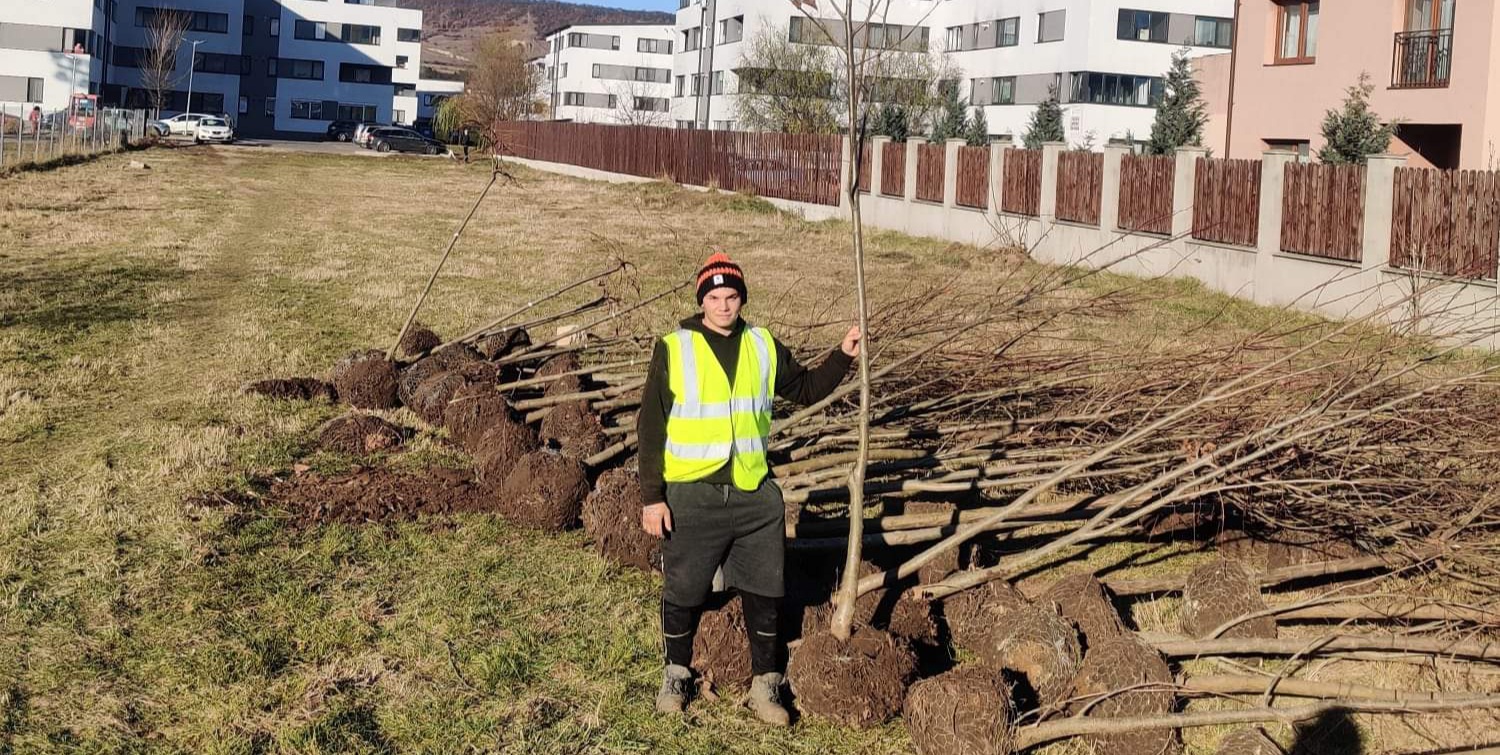 În jur de 300 de arbori vor apărea în câteva zone din Florești.