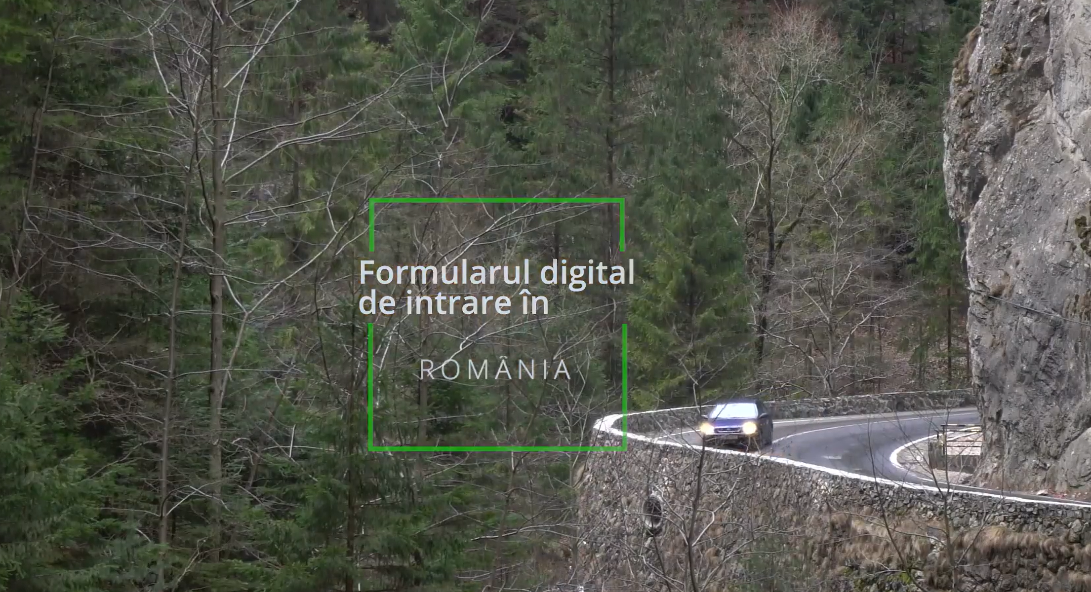 Cum poți completa Formularul digital de intrare în România