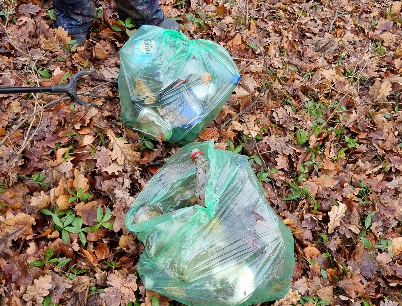 Acțiune de ecologizare a pădurii Făget: „Ne-am săturat să vedem gunoaie în pădure și să așteptăm pe alții să le adune”
