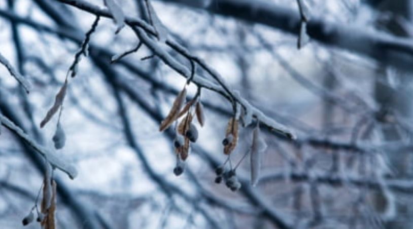 Meteorologii ANM: „Ianuarie