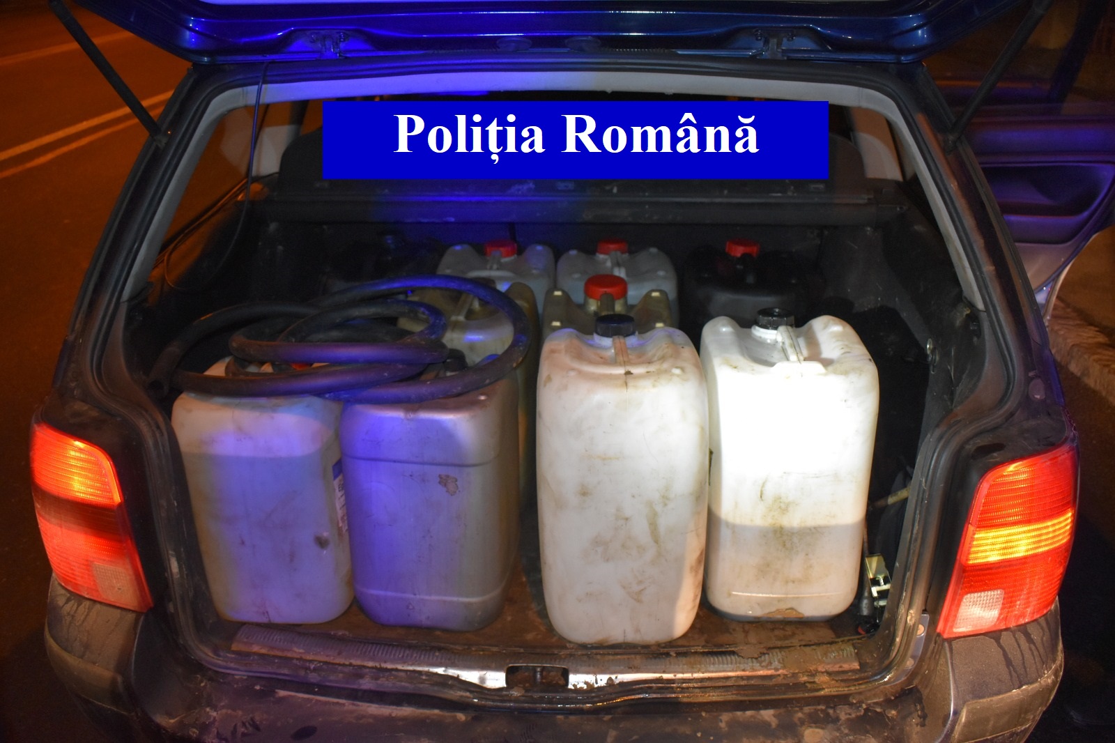Doi hoți