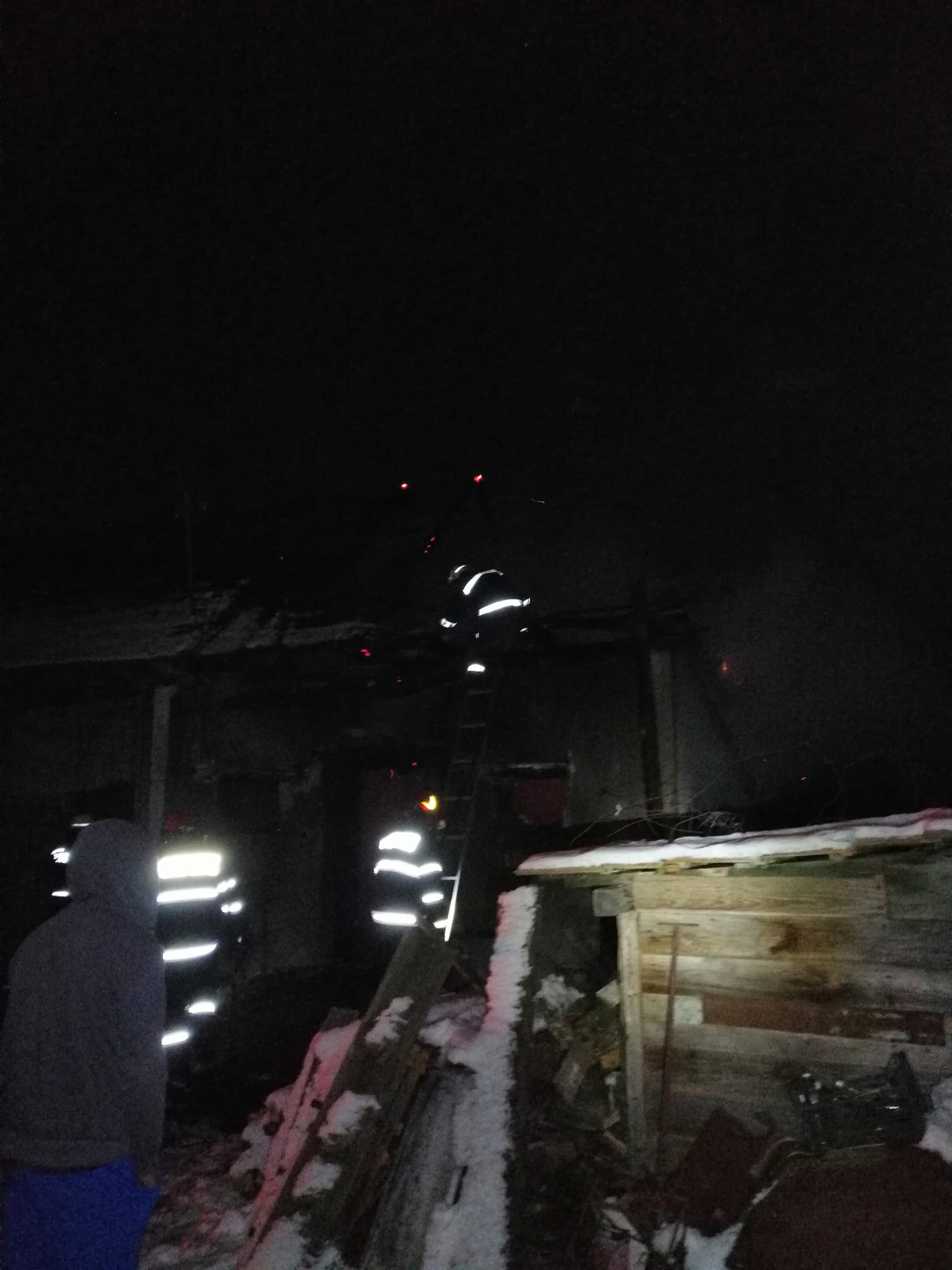 Incendiu la un adăpost de animale în Răscruci. Mai mulți porci au ars de vii