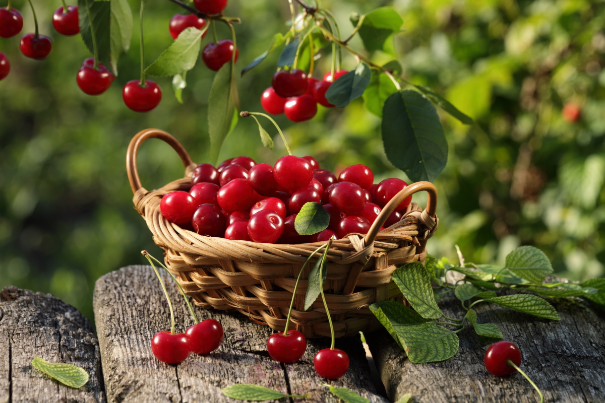 Fructul care te ajută să slăbești
