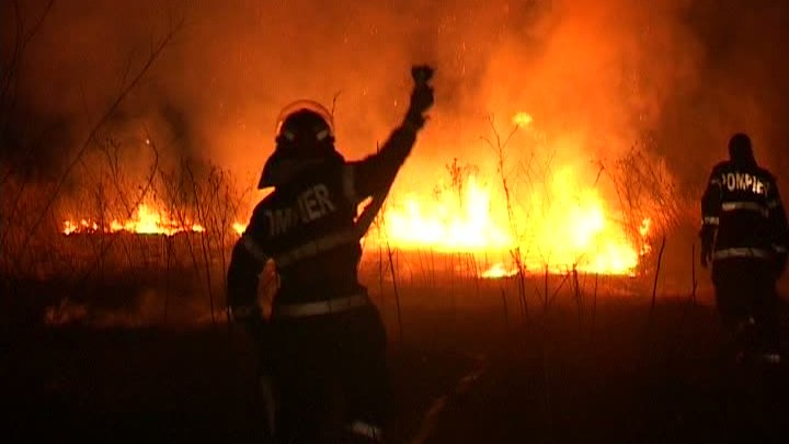 Incendiu de proporții la un adăpost de animale