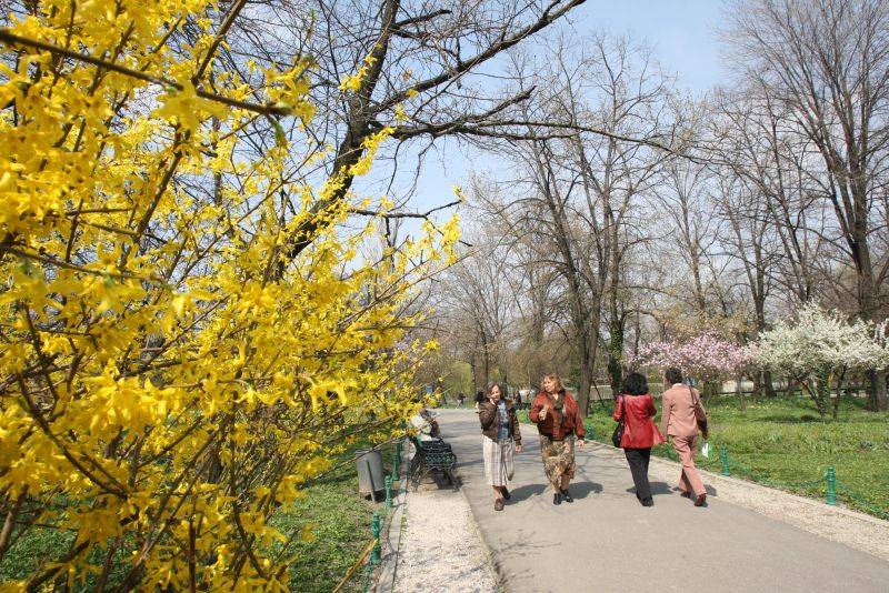 Prognoza meteo pentru ultima lună de iarnă. Început de primăvară cu ploi puține
