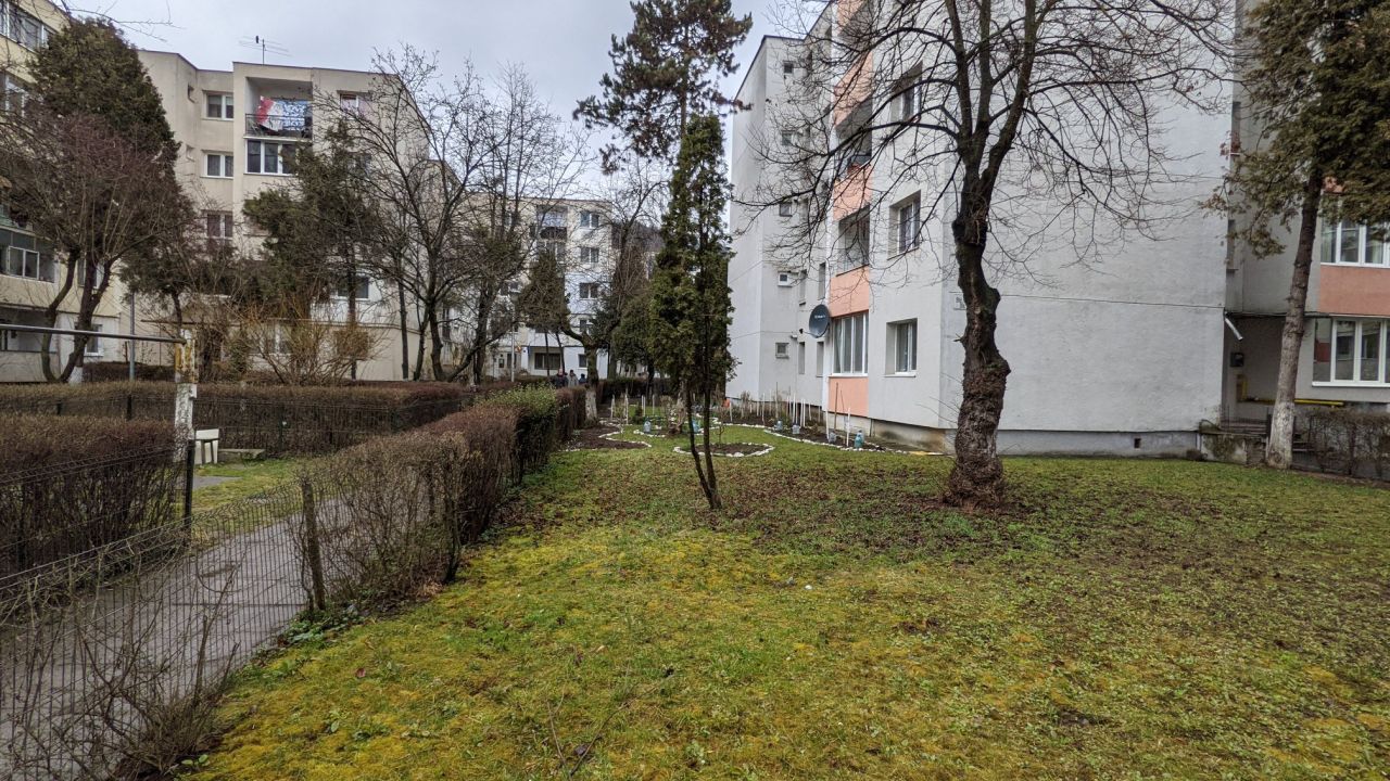 Noua lege a spațiilor verzi aduce schimbări esențiale pentru orașul de pe Someș.