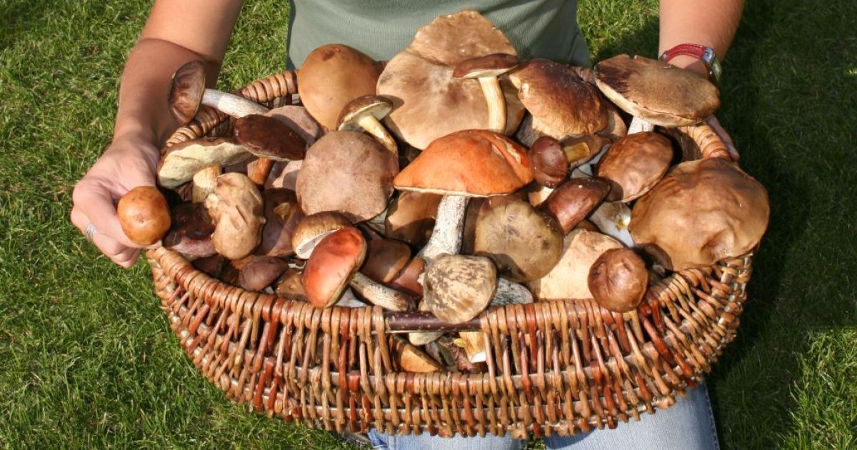 Alimentul care reglează tensiunea arterială și scade riscul cancerului la sân. Întărește sistemul imunitar și scade colesterolul din sânge