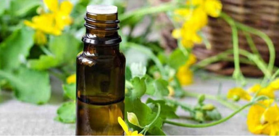 Planta care acționează ca un analgezic puternic. Calmează durerile articulare și tratează bolile de ficat