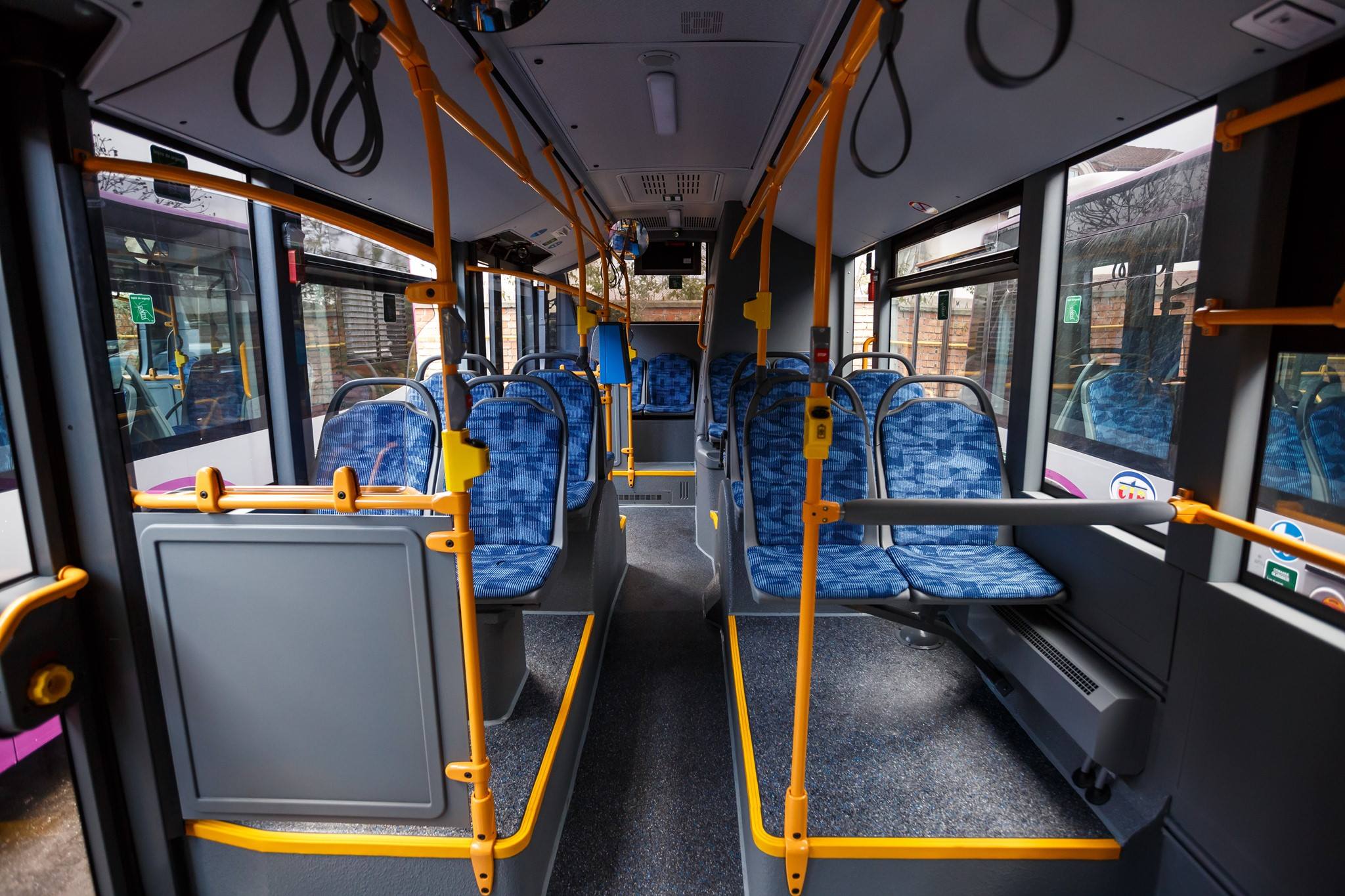 Transport gratuit în comun