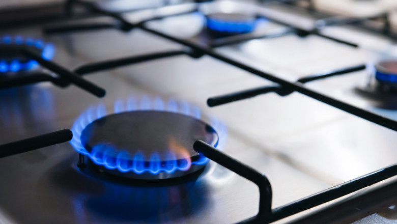 Guvernul a aprobat plafonarea prețurilor la gaze și energie electrică timp de un an.