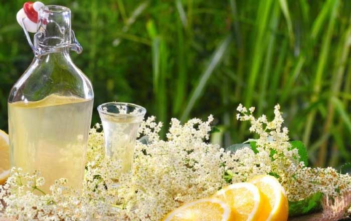 Băutura românească cu multe beneficii pentru organism. Reduce colesterolul și tratează bolile de rinichi/ foto: doftoria.ro