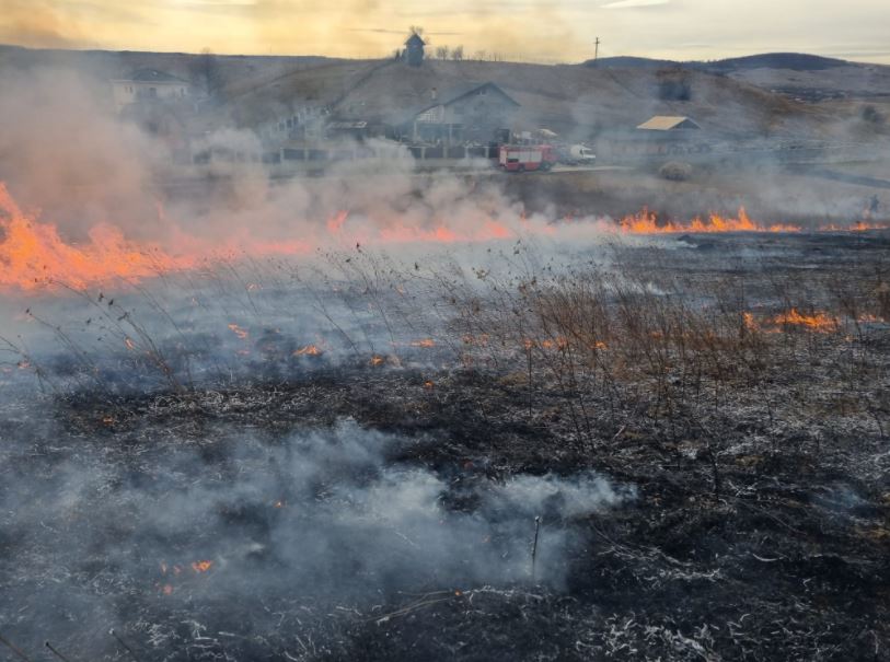 Incendiu de vegetație/ Sursă foto: ISU Cluj