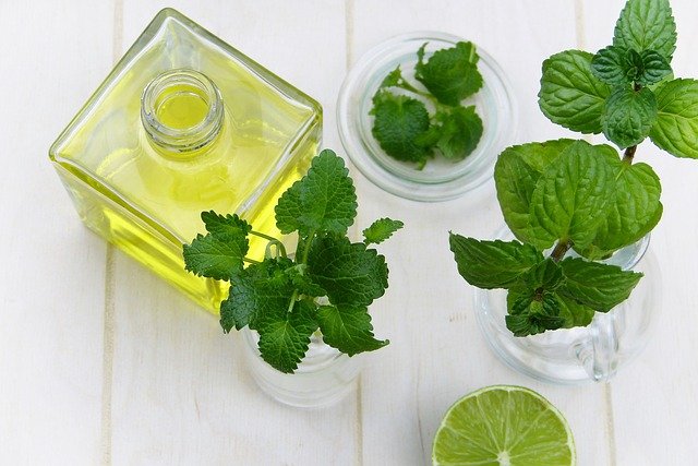 Uleiul esențial care alungă greața și durerile de cap. Reduce simptomele colonului iritabil și ajută la circulația sângelui/ sursă foto: pixabay.com