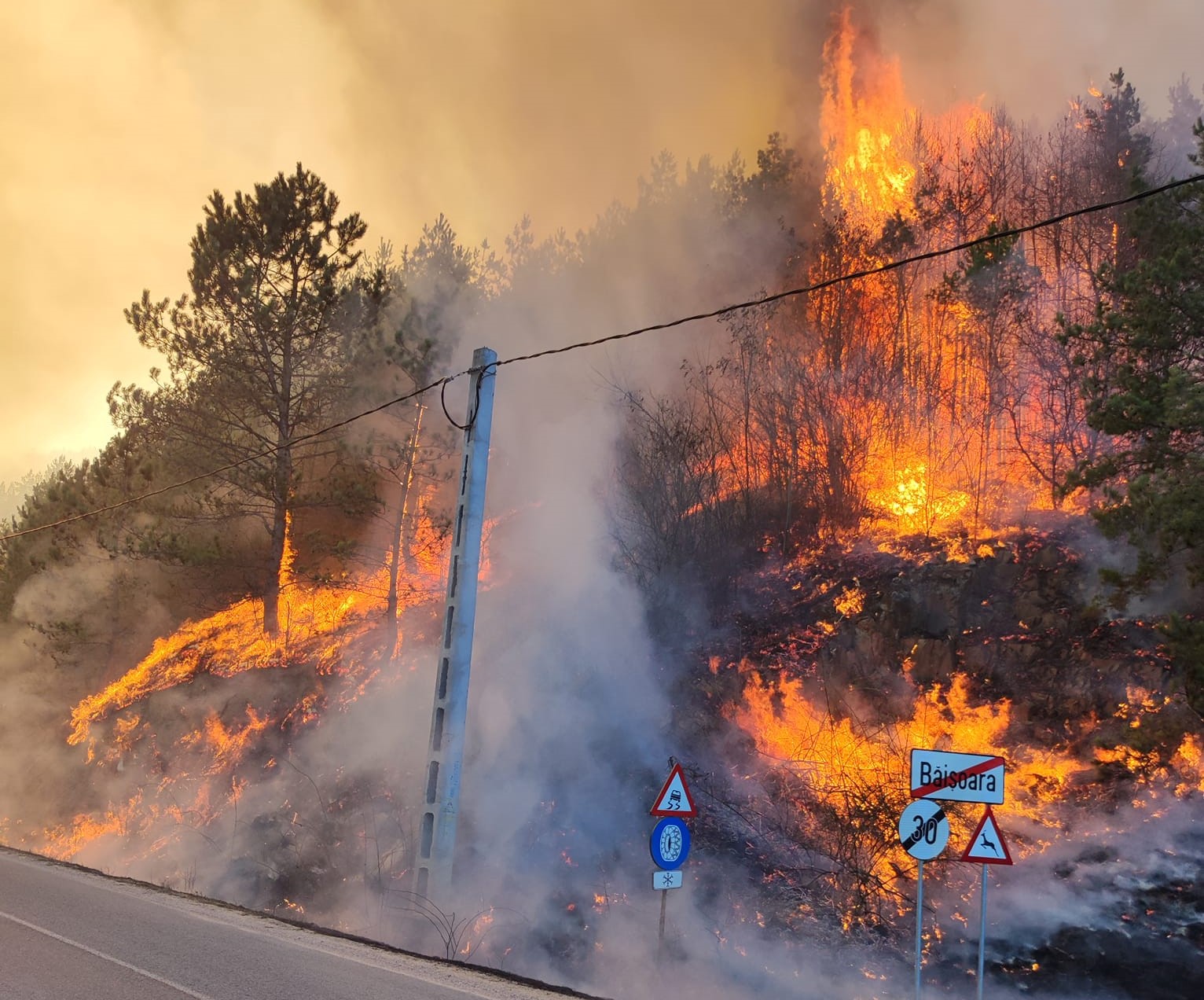 Imagini din INFERN. Incendiul de vegetație de la Băișoara a fost lichidat după 4 zile. Aproape 200 de hectare