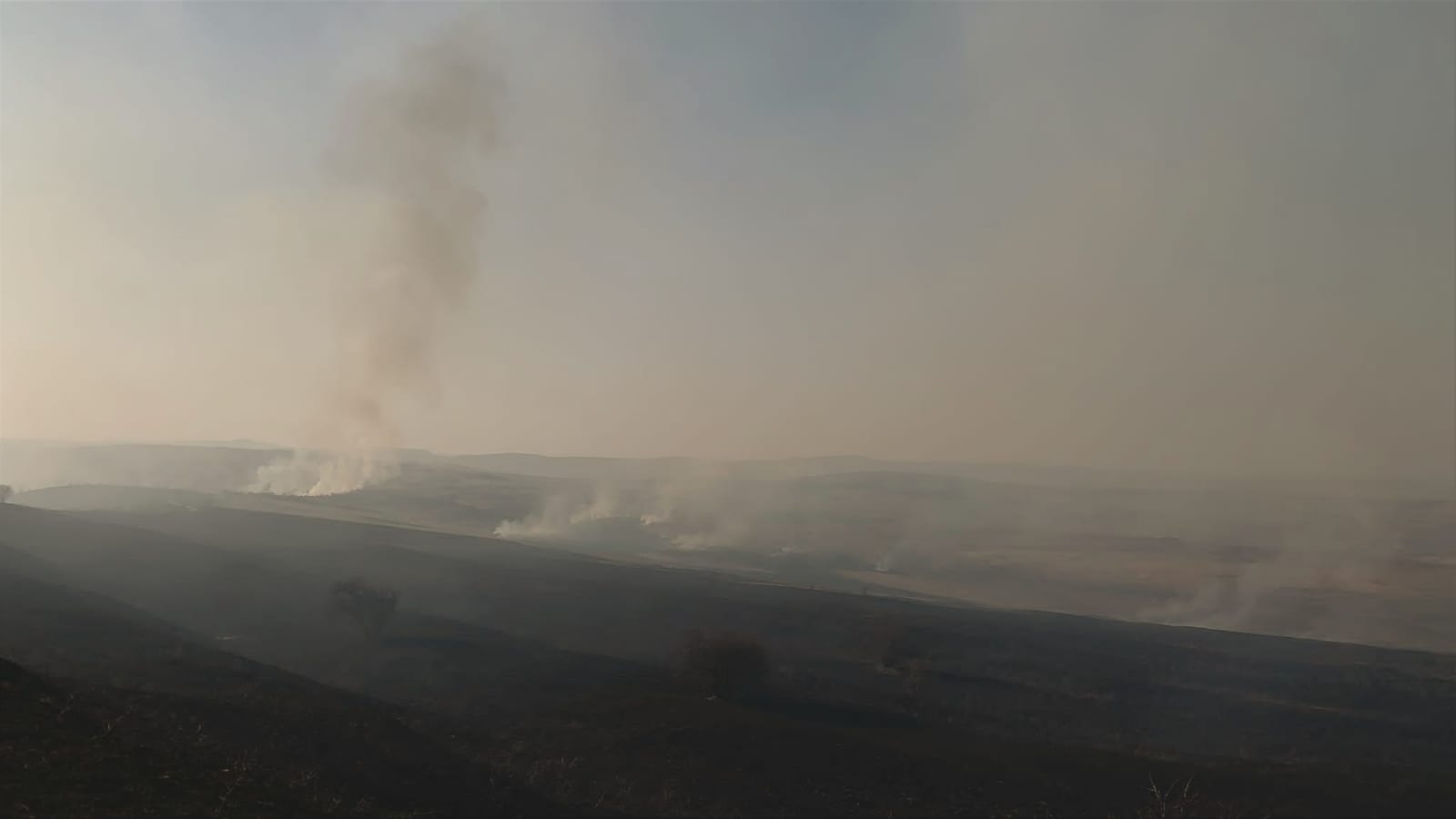 Sursă foto: ISU Cluj