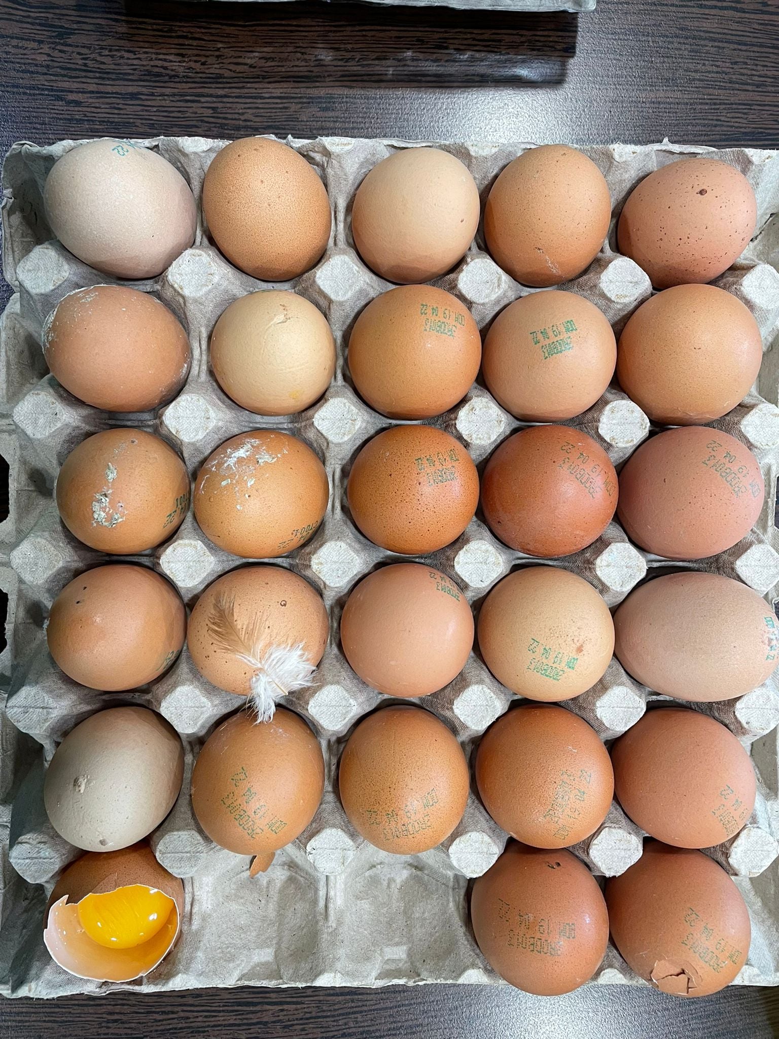 Producătorii de ouă din România