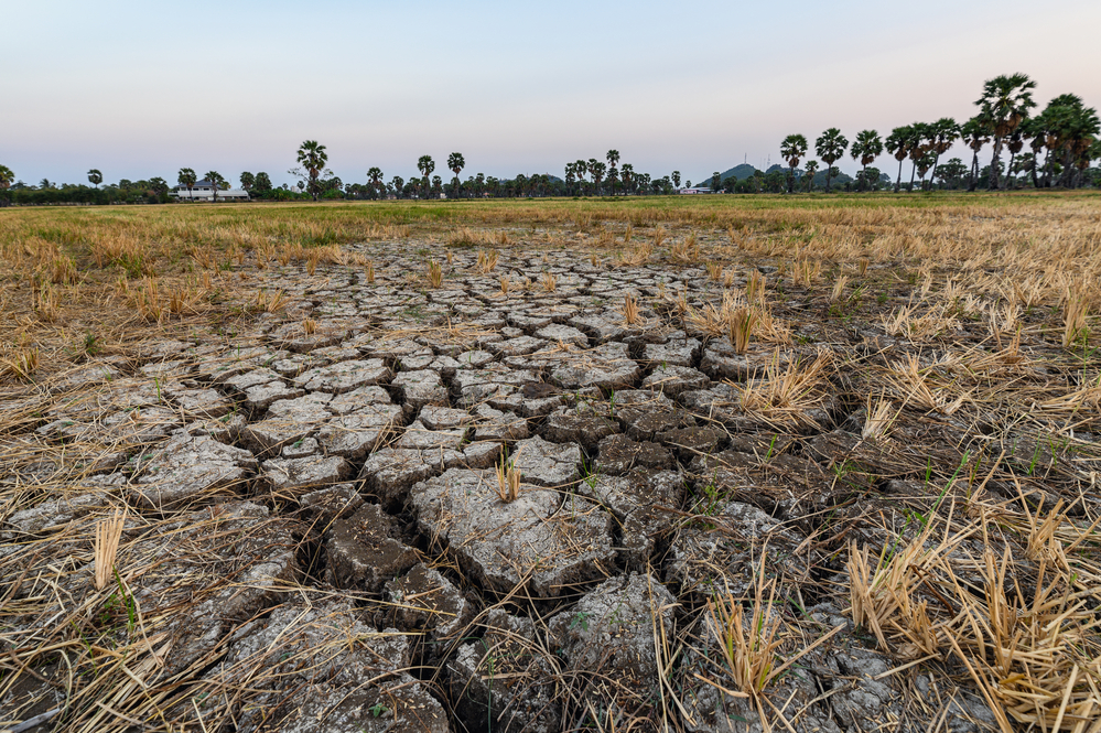 Sol uscat și crăpat în câmpuri / foto: depositphotos.com