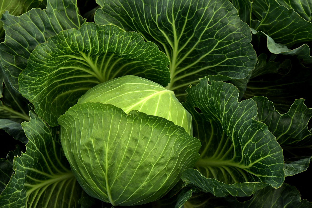 Leguma care topește grăsimea de pe abdomen. Previne cancerul și menține pielea sănătoasă/ Foto: pixabay.com