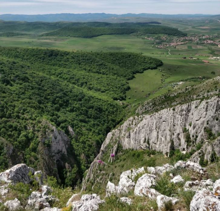 Turiștii străini