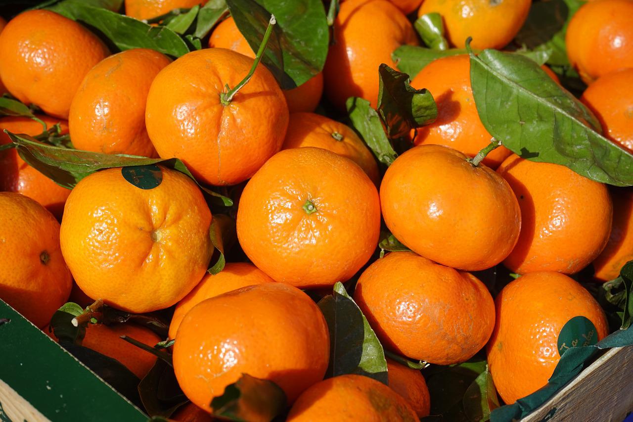 Fructul care previne apariția bolii Alzheimer. Menține pielea tânără și întărește oasele/ FOTO: pixabay.com