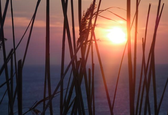 Clima de pe Terra s-a încălzit cu aproape 1