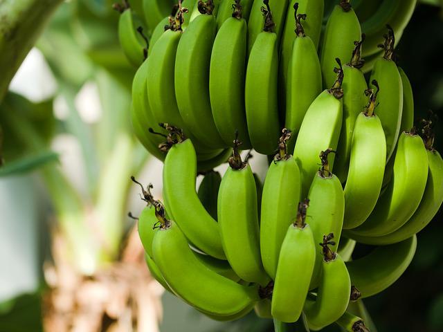 Fructul exotic