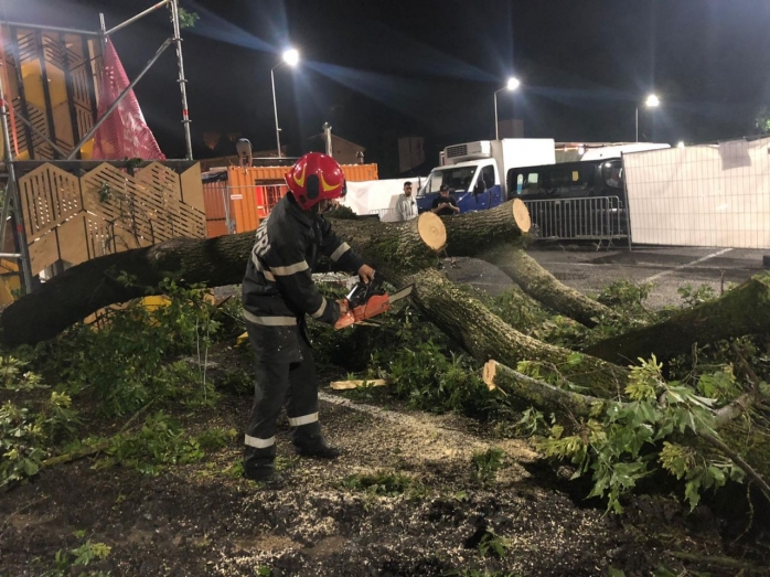 Un copac a căzut peste o mașină în Piața Abator: FOTO: Arhivă ISU Cluj