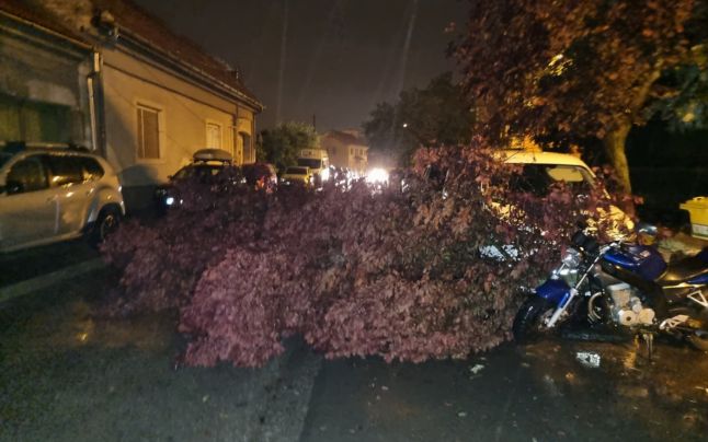 O furtună puternică a făcut ravagii în Timiș. FOTO: Info Trafic