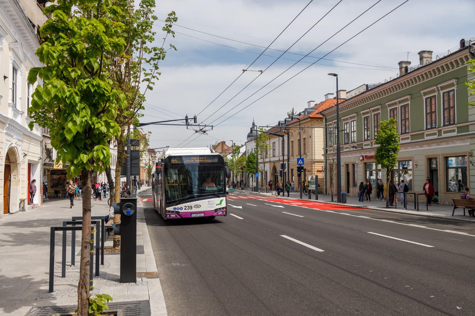 Autobuz pe strada 21 Decembrie. Sursa foto: Facebook Emil Boc