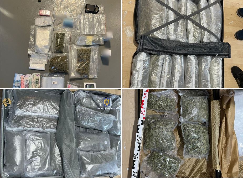 Captură de 16 kg de cannabis și multă cocaină