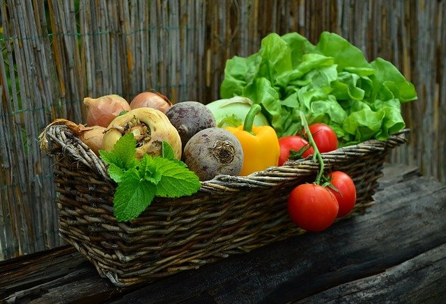 Planta cu nume interesant care previne cancerul. Întărește oasele și alungă insomniile/ Foto: pixabay.com