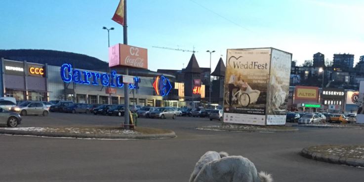 Mașină răsturnată în parcare la Vivo / Foto: captură ecran Facebook