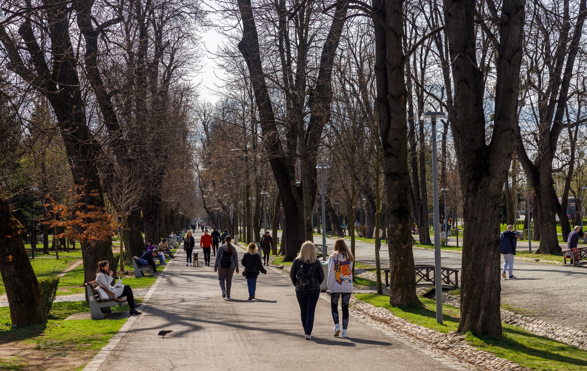Temperaturile vor crește în zilele următoare/ Foto: Municipiul Cluj-Napoca - Facebook