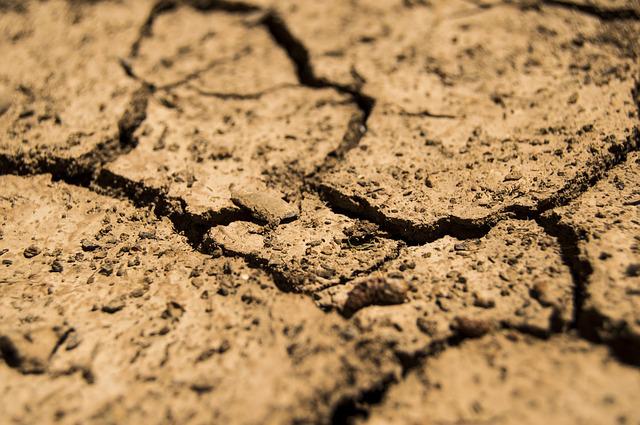 Europa se va confrunta cu veri și ierni secetoase din cauza încălzirii globale / Foto: pixabay.com