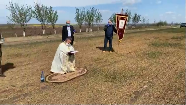 Patriarhia