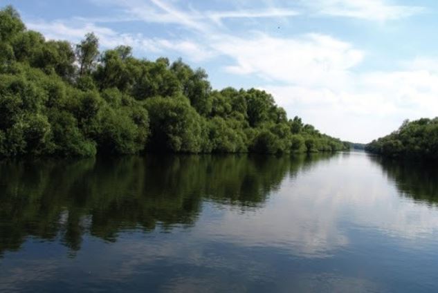 Un bărbat din Republica Moldova a înotat până în România pentru a se întâlni cu niște prieteni / Foto: Facebook - Râul Prut