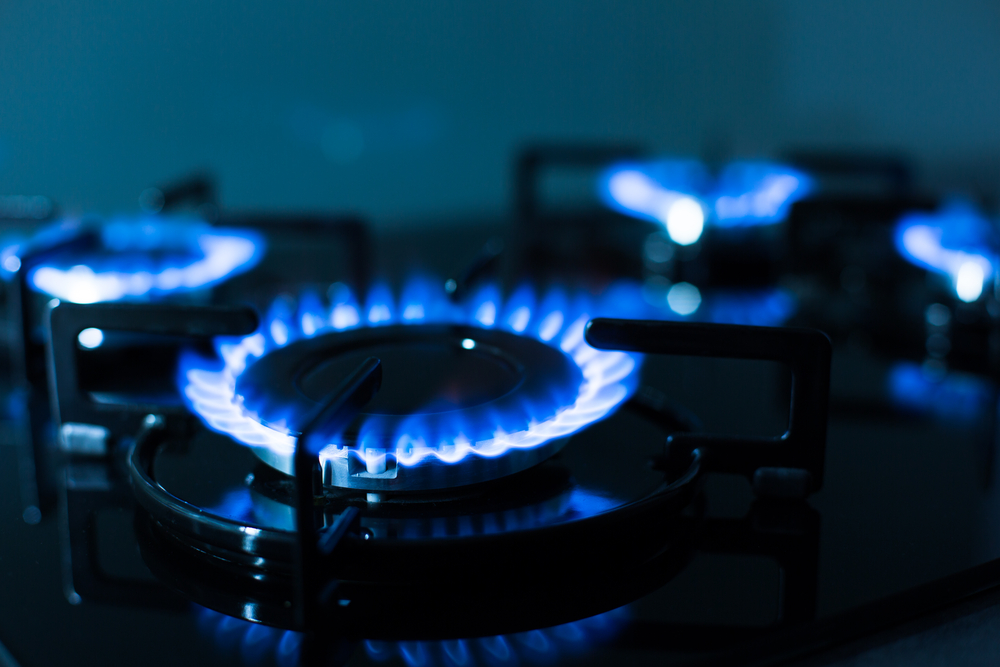24 de companii energetice