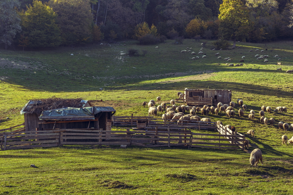 Doi bărbați