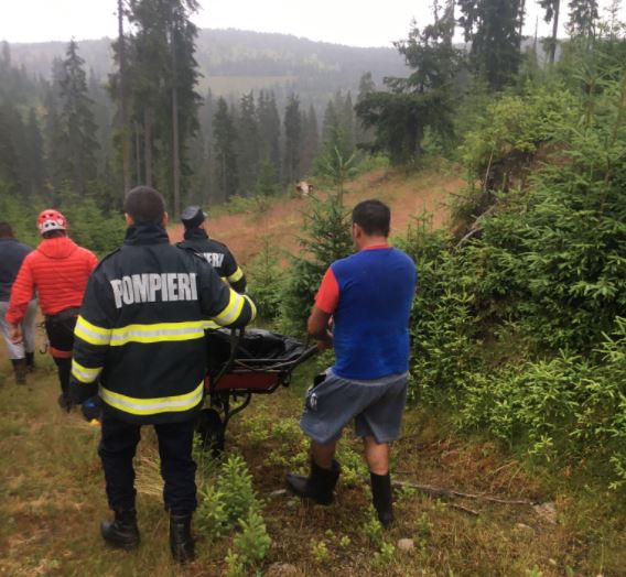 Un bărbat a murit în timp ce culegea fructe de pădure în Măguri Răcătău / Foto: ISU Cluj