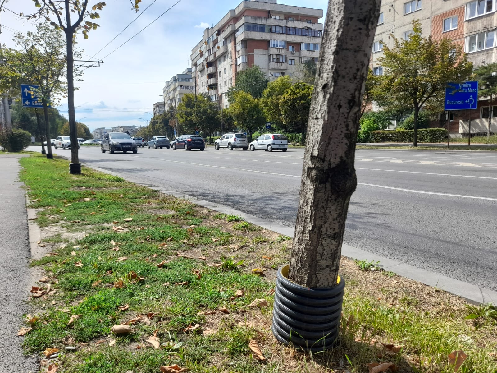 Protecții de plastic apără pomii de coasele mânuite prost