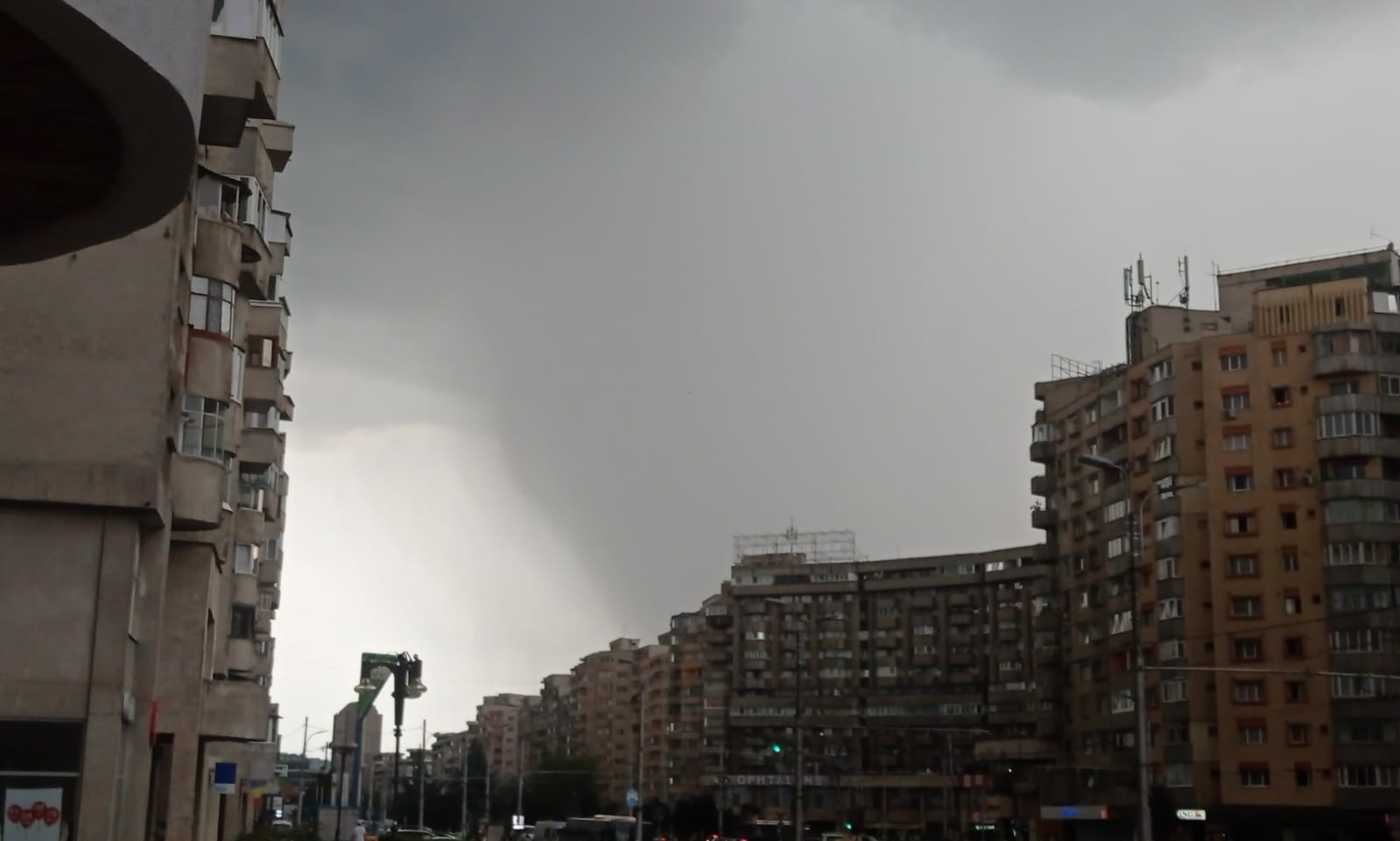 COD GALBEN de furtuni în județul Cluj/ Foto: Copaciu Paula/monitorulcj.ro
