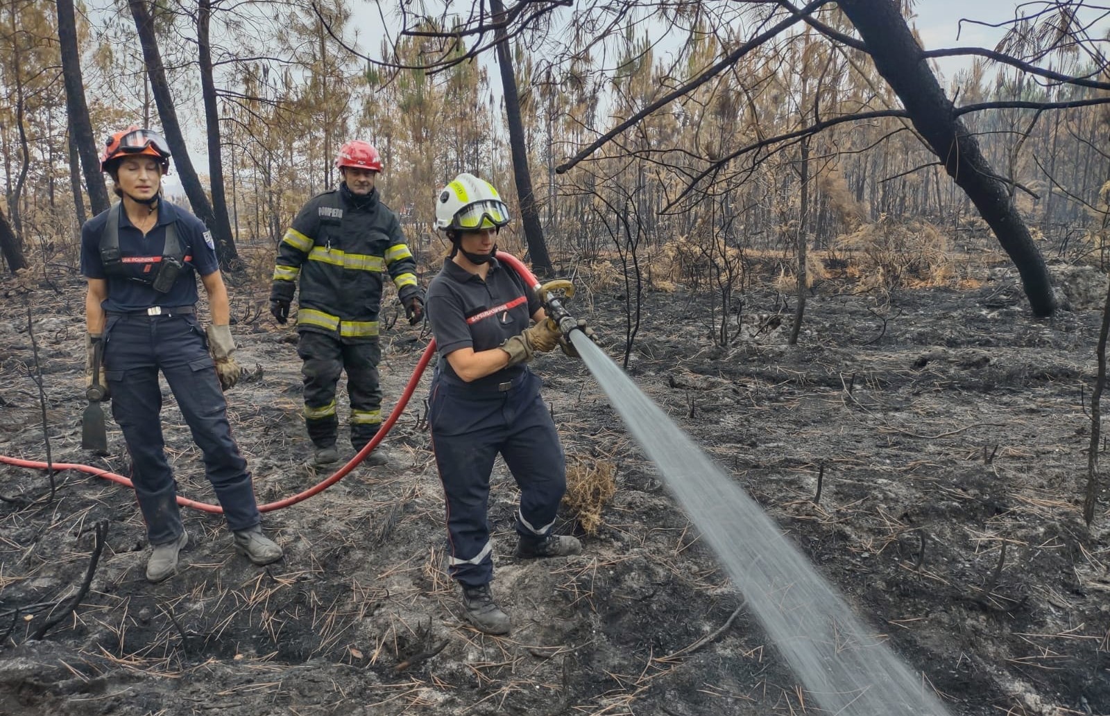 Modulul naţional de stins incendii execută operaţiuni în estul localităţii Belin-Beliet