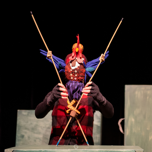 Spectacole de teatru de păpuși