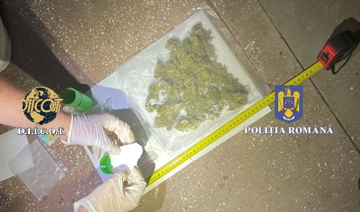 Procurorii DIICOT şi poliţiştii au efectuat mai multe percheziţii în zona desfăşurării unui festival de muzică electronică din localitatea Gălăuţaş