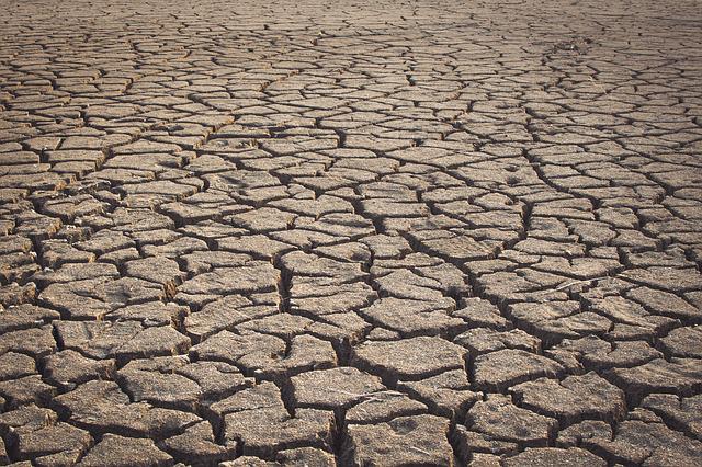 Anul agricol 2021-2022 este cel mai secetos an din istorie