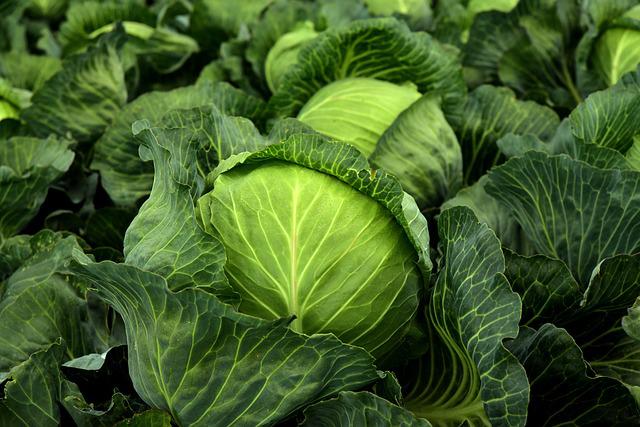Leguma care te ajută să slăbești și combate cancerul. Reduce nivelul colesterolului/ Foto: pixabay.com