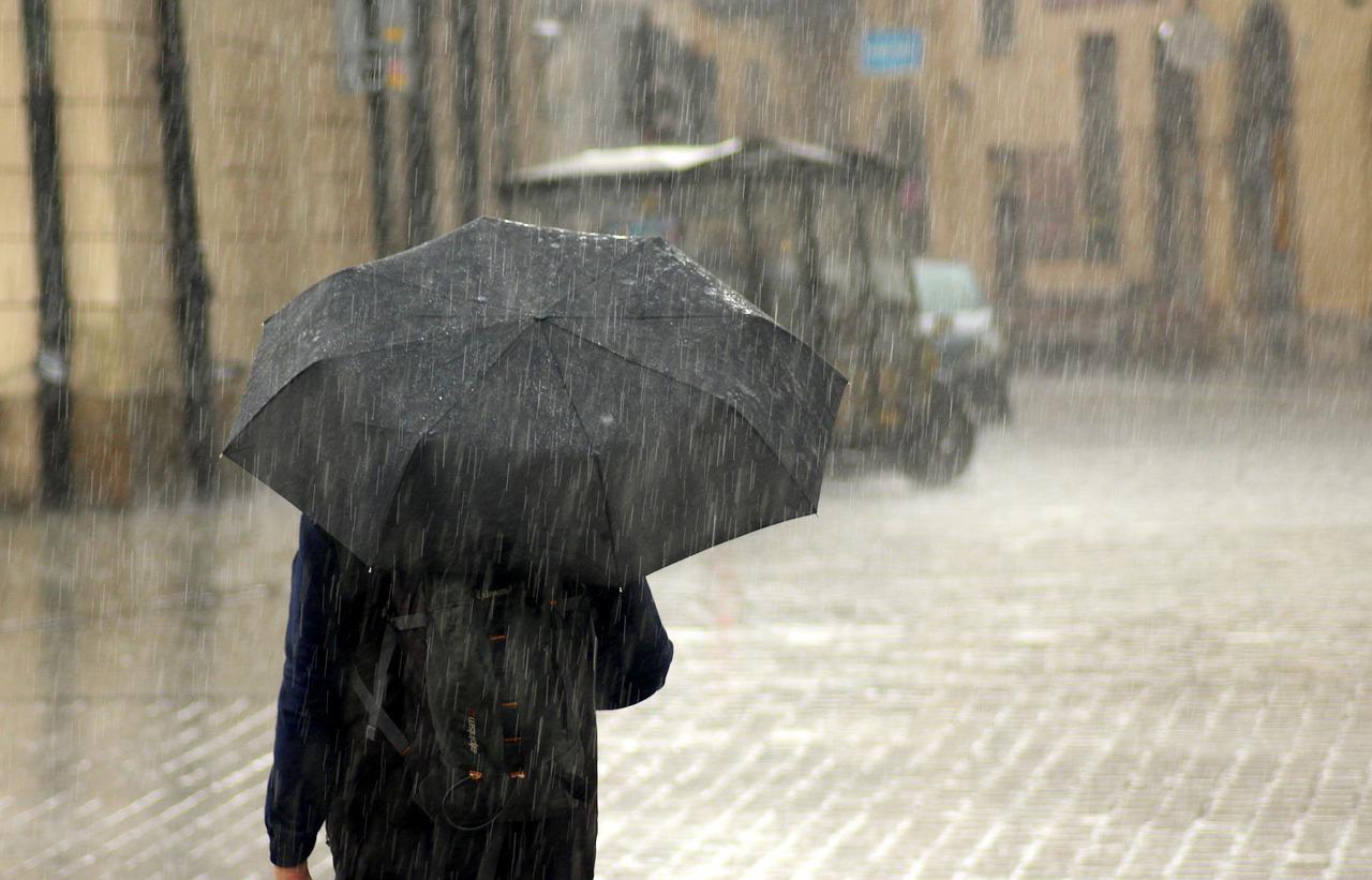 COD PORTOCALIU de ploi