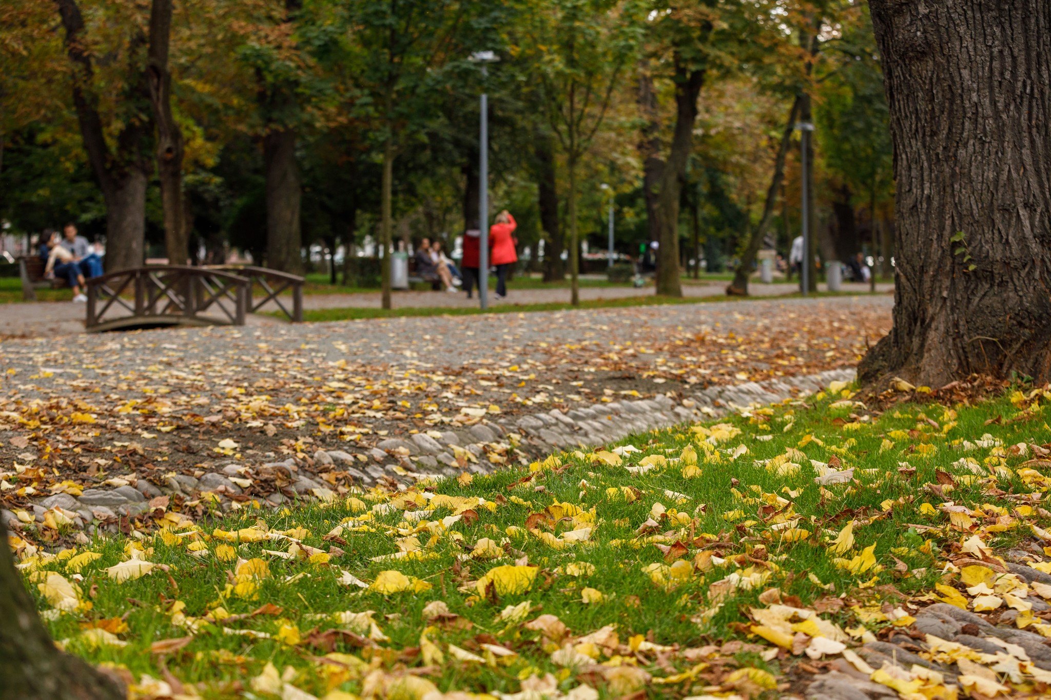 Prognoza meteo pe o lună. Cum va fi vremea în prima lună de toamnă? FOTO: Facebook/ Municipiul Cluj-Napoca